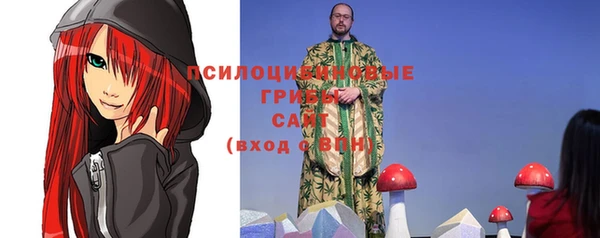 винт Новозыбков