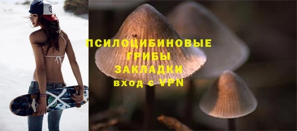 гашиш Новодвинск