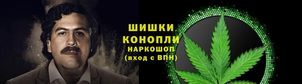 винт Новозыбков