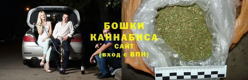 Бошки марихуана THC 21%  дарнет шоп  Купино 